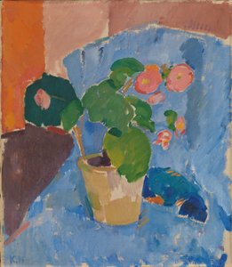 Stilleven met Begonia