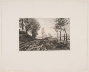 Landschap met weg
