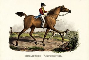 Engelse renpaard, 1824
