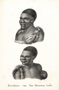 Inboorlingen van Tasmanië, Van Diemen
