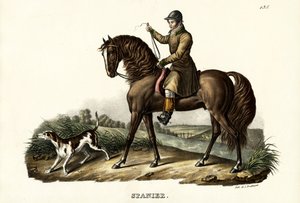 Spaanse jachtpaard, 1824