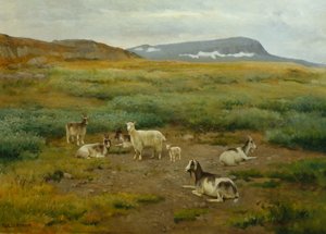 Geiten in het gras door Karl K. Uchermann