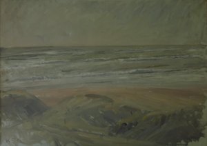 Uitzicht vanaf de duinen over de Noordzee