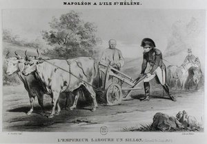 Napoleon (1769-1821) op St. Helena, gegraveerd door Francois le Villain door Karl after Loeillot Hartwig