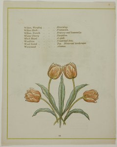 Decoratieve illustratie, uit De verlichte taal van bloemen door Kate Greenaway