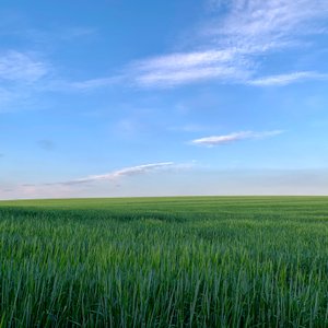 In het blauw 2020