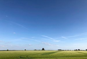 Summer Crop 2018 door Katha Wood