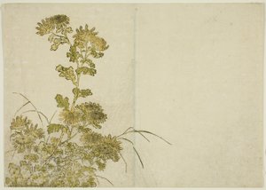 Winterbloemen: Chrysanten, uit het boek "Spiegel van mooie vrouwen van de plezierwijken (Seiro bijin awase sugata kagami)," deel 1 door Katsukawa Shunsho