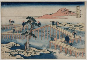 Een oud schilderij van de Acht Deelsbrug in de provincie Mikawa (uit de serie Nieuwsgierige Uitzichten van Beroemde Bruggen in de Provincies) door Katsushika Hokusai