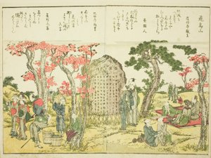 Asuka Hill (Asukayama), uit deel 1 van het geïllustreerde boek "Schone Zichten van de Oostelijke Hoofdstad in een Oogopslag (Toto shokei ichiran)" door Katsushika Hokusai