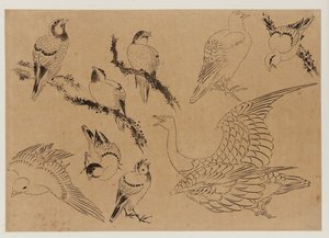 Vogels, Edo-periode, laat 18e-begin 19e eeuw door Katsushika Hokusai