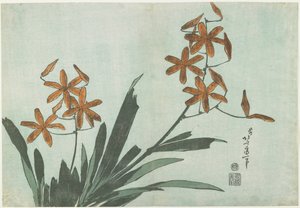 Zwarte Bessen Lelies, c. 1832 door Katsushika Hokusai