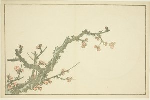 Bloeiende Pruimenboom, uit Het Prentenboek van Realistische Schilderijen van Hokusai (Hokusai shashin gafu) door Katsushika Hokusai