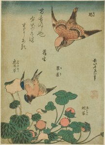 Bull-headed Shrike en Bluebird met Saxifrage en Wilde Aardbei (Mozu, ruri, yukinoshita, hebi-ichigo), uit een ongetitelde serie bloemen en vogels door Katsushika Hokusai
