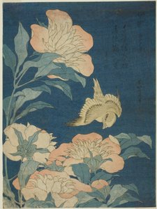 Kanarie en pioenroos (Kanaari, shakuyaku), uit een ongetitelde serie bloemen en vogels door Katsushika Hokusai