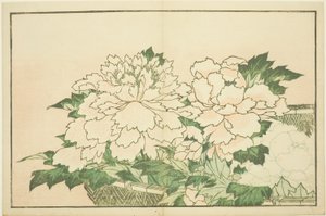 Chrysanten in een Mand, uit Het Prentenboek van Realistische Schilderijen van Hokusai