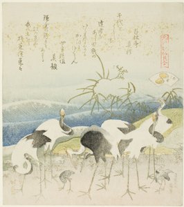 Kraanvogels aan de kust, illustratie voor De been schelp, uit de serie "Een spel met gedichten uit de Genroku-periode" door Katsushika Hokusai