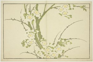 Bloemen, uit Het Prentenboek van Realistische Schilderijen van Hokusai (Hokusai shashin gafu), ca. 1814 door Katsushika Hokusai