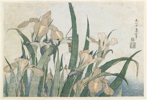Irisbloemen en sprinkhaan, ca. 1830-31