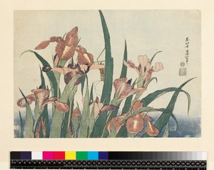 Iris en sprinkhaan, uitgegeven door Nishimura Eijudo, c.1832