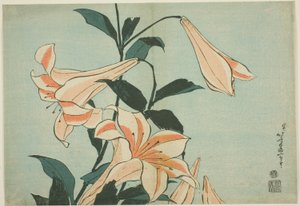 Lelies, uit een ongetitelde serie van grote bloemen