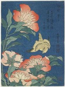 Pioenen en kanarie, ca. 1833 door Katsushika Hokusai
