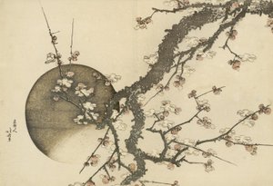 Pruimenbloesem en de maan uit het boek Mount Fuji in de lente