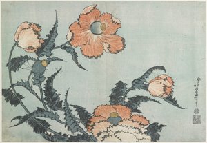 Klaprozen, ca. 1832 door Katsushika Hokusai