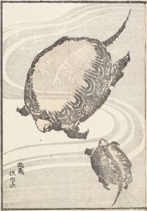 Sayama-ga-ike Vijver in de provincie Musashi, 1817