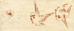 Schetsblad met vogels en spin