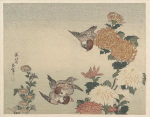 Mussen en chrysanten