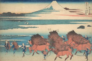 De nieuwe velden bij Ono in de provincie Suruga Sunshu Ono shinden, uit de serie Thir..., ca. 1830-32 door Katsushika Hokusai