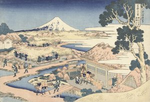 De theeplantage van Katakura in de provincie Suruga