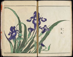 De geest overbrengen en de vorm van de dingen onthullen: Hokusai’s Tuin van Beelden, deel 1, compleet door Katsushika Hokusai