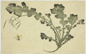Wesp en raapstengel, uit "Het prentenboek van realistische schilderijen van Hokusai (Hokusai shashin gafu)" door Katsushika Hokusai