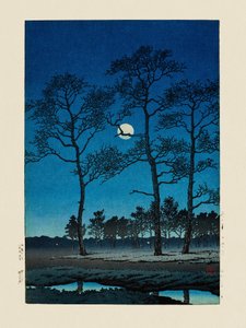 Wintermaan bij Toyamagahara (1931)