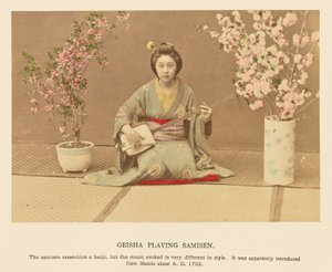 Geisha die samisen speelt