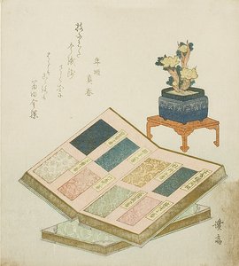 Voorbeeldboeken van brokaatontwerpen