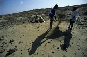 Allia Bay, Kenia; Turkana; Ziften naar fossielen, Alan Walker, Pennsylvania State University