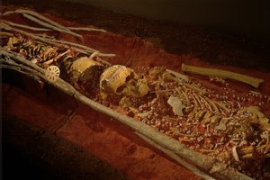 Archeologie; Hominide; Hominin; Menselijke Evolutie - Homo sapiens sapiens; Menselijke Evolutie; IJstijd, 2000 (foto)