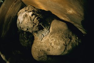 Egypte; Archeologie; Oude Koninkrijk; Saqqara; Mummie; Nefer; Graf, 5e Dynastie
