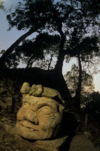 God N, Ceiba-boom, tempel, Maya, Copan, Honduras, Klassieke periode door Kenneth Garrett