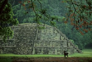 Honduras; Copan; Maya door Kenneth Garrett