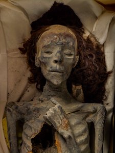 Mummie van Tiye, vrouw van Amenhotep III en grootmoeder van Toetanchamon. 18e Dynastie; Nieuwe Koninkrijk, 2005