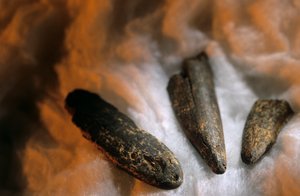 Geslepen botpunten gebruikt voor graven, Van Drimolean Site, nabij Johannesburg, Zuid-Afrika
