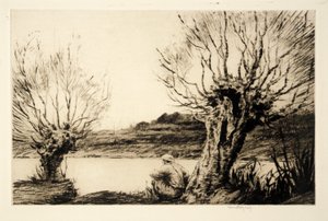 De wilgen, door Kerr Eby