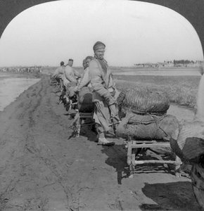 Zout vervoeren naar het binnenland met kruiwagen trein, China, 1907