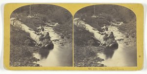 De kabbelende beek, 185575. Makers: Kilburn Brothers, BW Kilburn