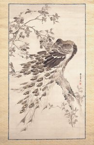 Pauw Op Kersenappelboom door Kishi Ganku