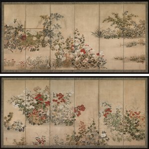 Bloemen en grassen